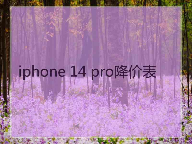 iphone 14 pro降价表