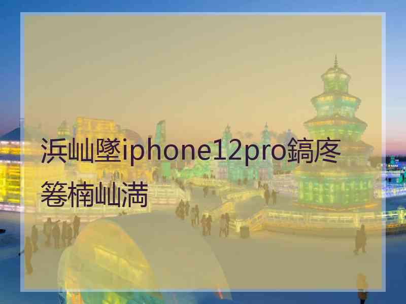 浜屾墜iphone12pro鎬庝箞楠屾満