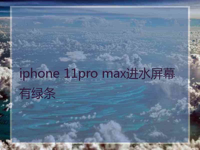 iphone 11pro max进水屏幕有绿条