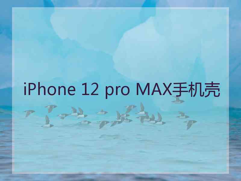 iPhone 12 pro MAX手机壳