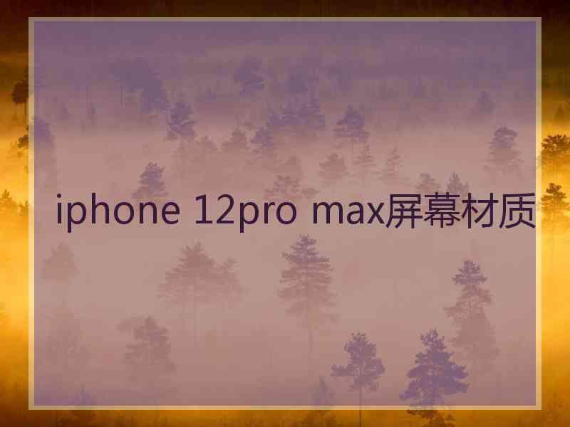 iphone 12pro max屏幕材质