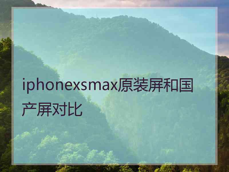 iphonexsmax原装屏和国产屏对比