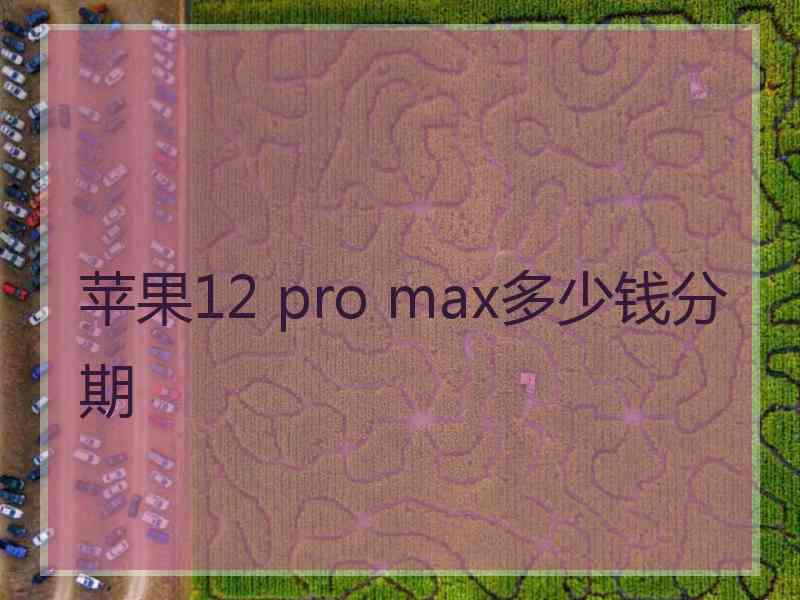 苹果12 pro max多少钱分期