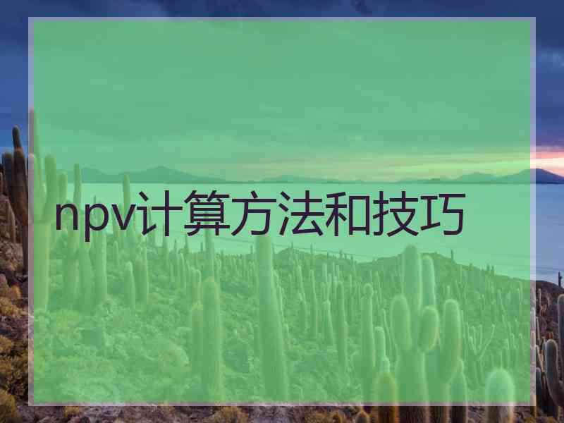 npv计算方法和技巧