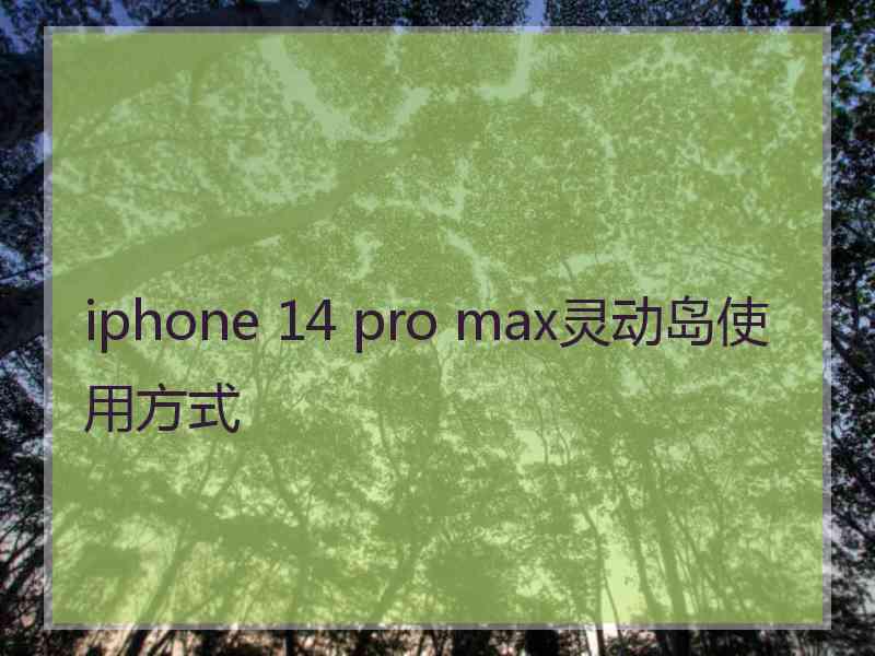 iphone 14 pro max灵动岛使用方式