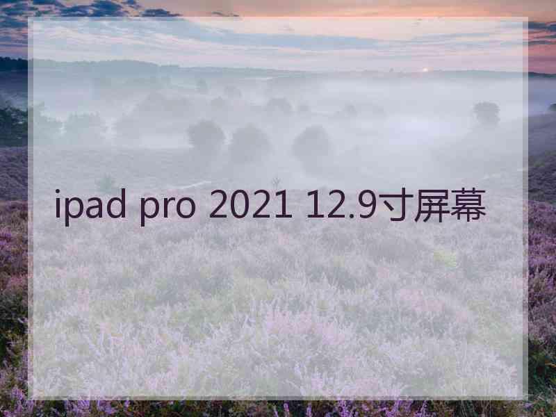 ipad pro 2021 12.9寸屏幕