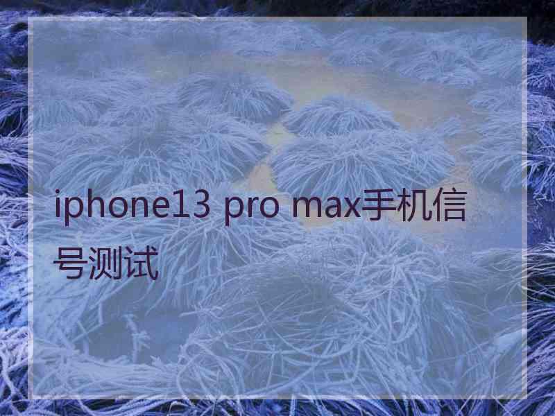 iphone13 pro max手机信号测试