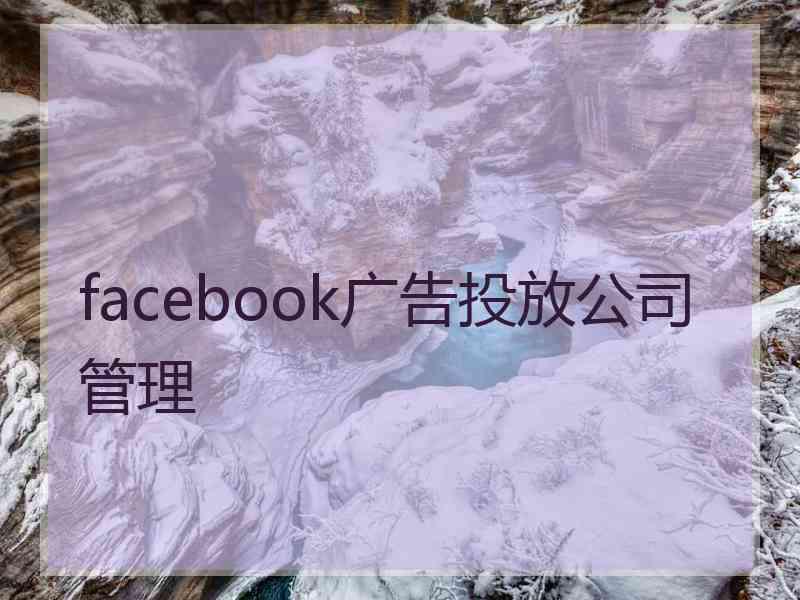 facebook广告投放公司管理