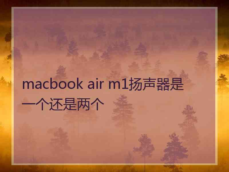 macbook air m1扬声器是一个还是两个