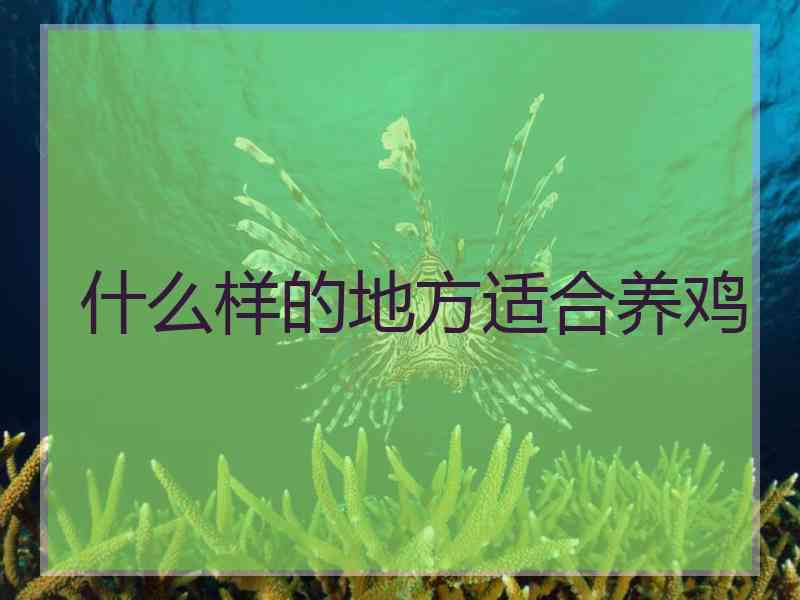 什么样的地方适合养鸡