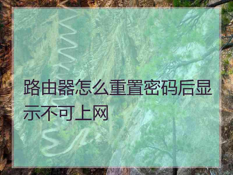 路由器怎么重置密码后显示不可上网