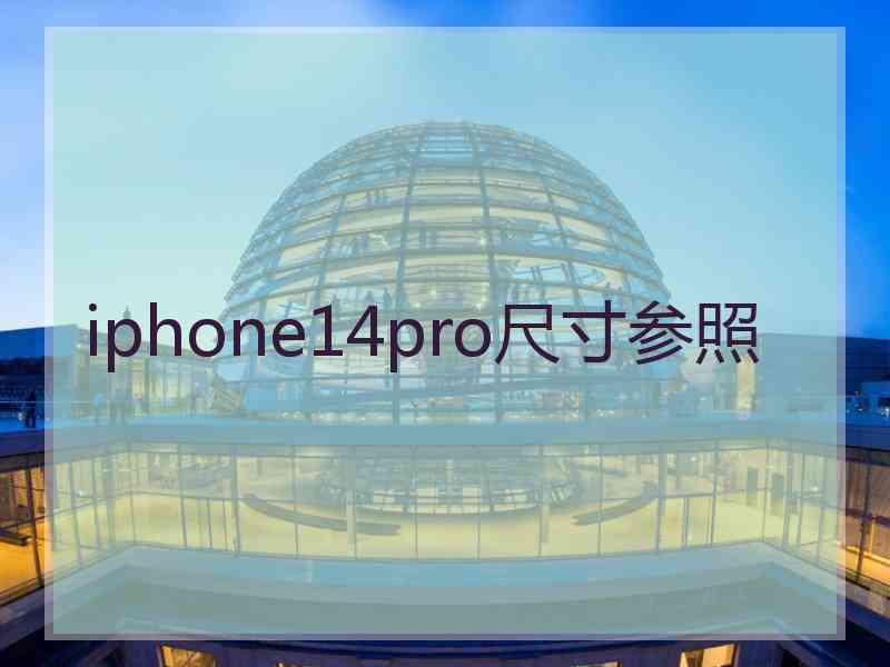 iphone14pro尺寸参照