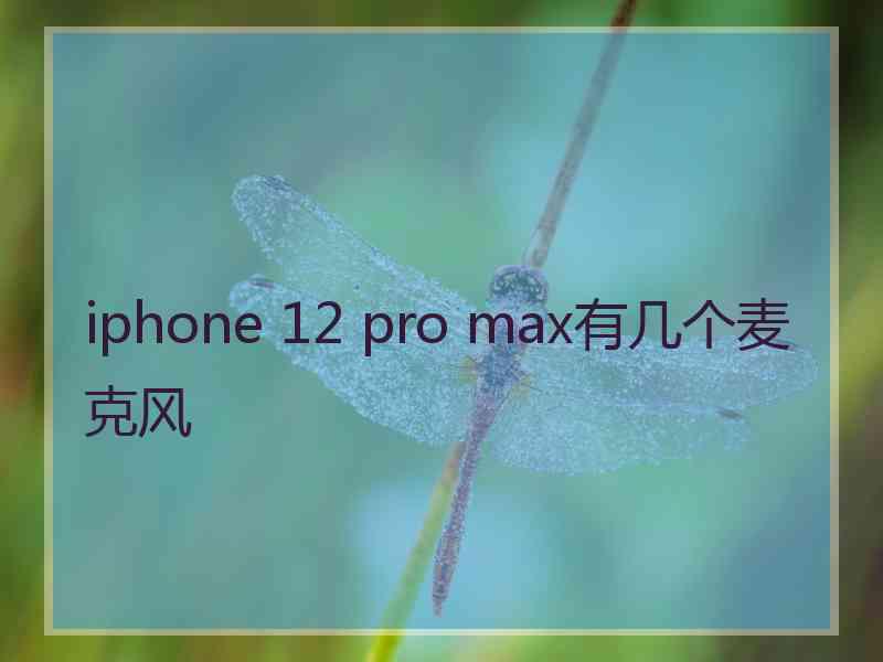 iphone 12 pro max有几个麦克风