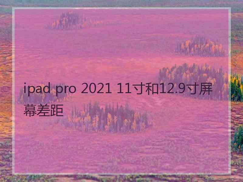 ipad pro 2021 11寸和12.9寸屏幕差距