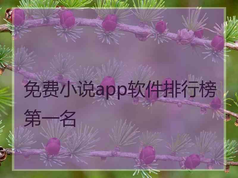 免费小说app软件排行榜第一名