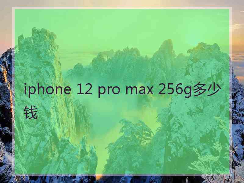 iphone 12 pro max 256g多少钱