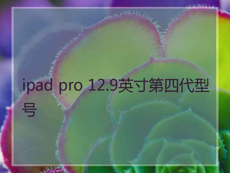 ipad pro 12.9英寸第四代型号