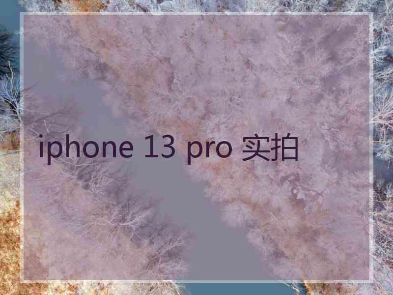 iphone 13 pro 实拍