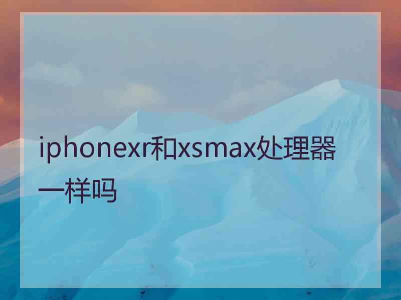 iphonexr和xsmax处理器一样吗