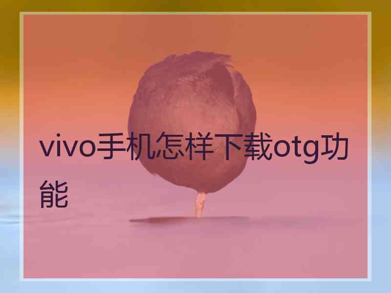 vivo手机怎样下载otg功能