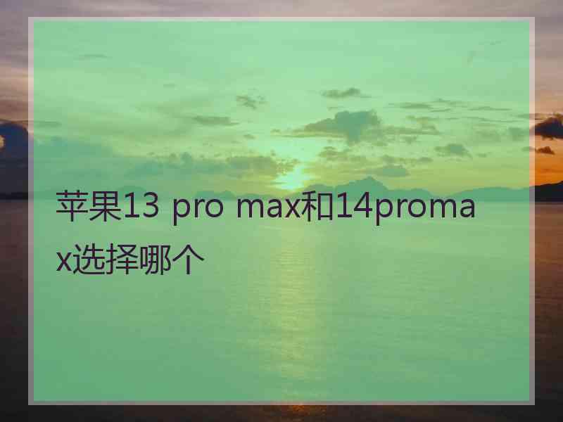 苹果13 pro max和14promax选择哪个