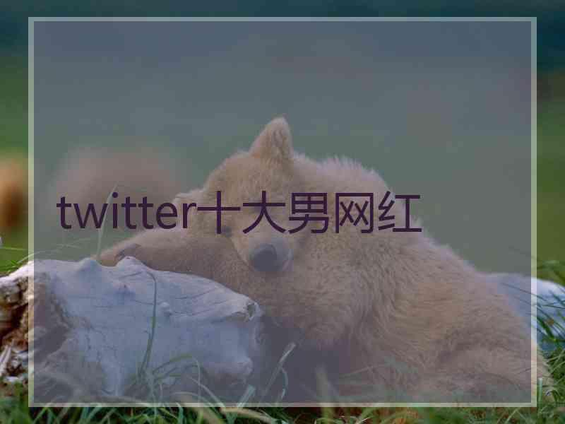 twitter十大男网红