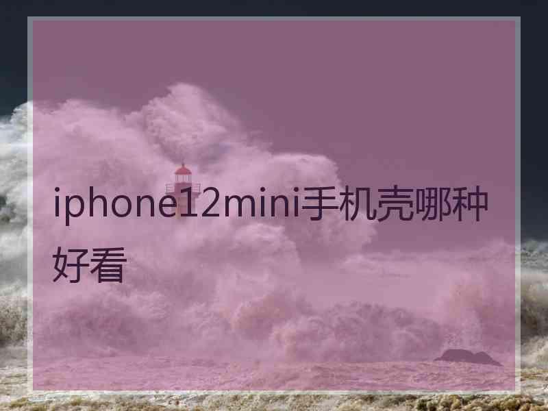 iphone12mini手机壳哪种好看