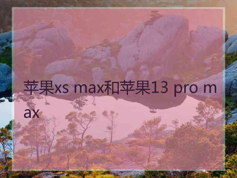 苹果xs max和苹果13 pro max