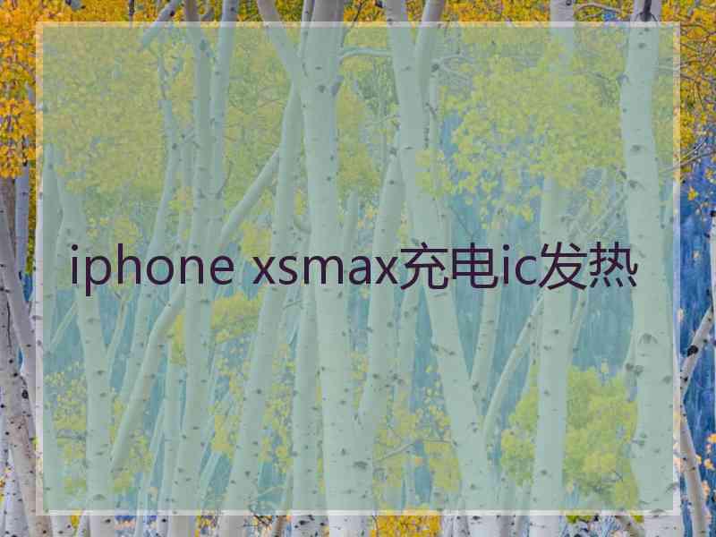 iphone xsmax充电ic发热