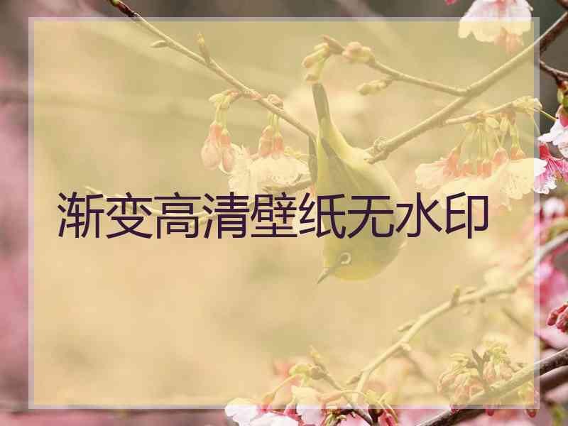 渐变高清壁纸无水印