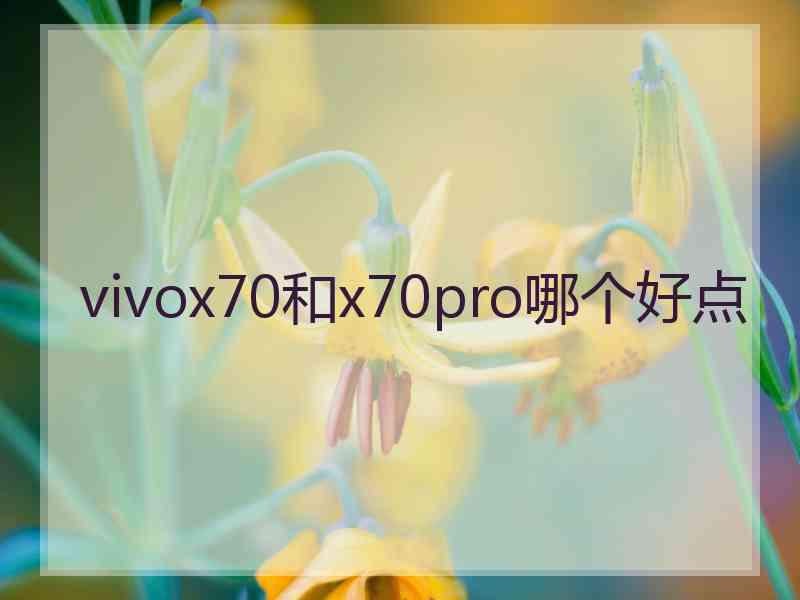 vivox70和x70pro哪个好点