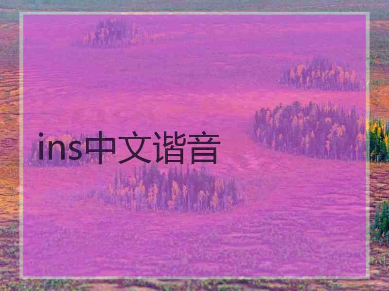 ins中文谐音