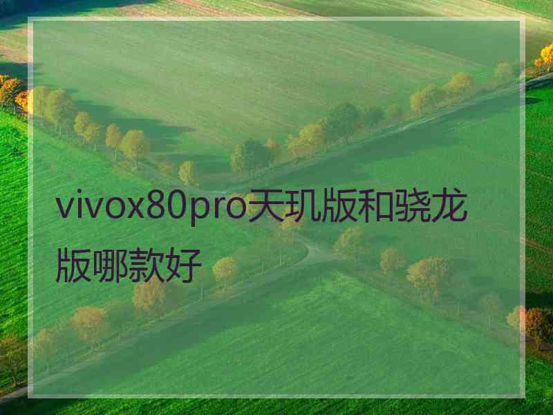 vivox80pro天玑版和骁龙版哪款好