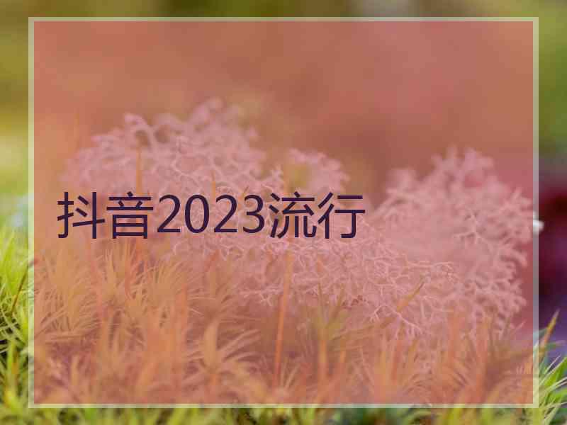 抖音2023流行