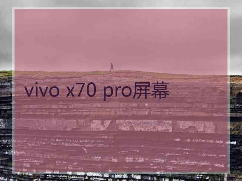 vivo x70 pro屏幕