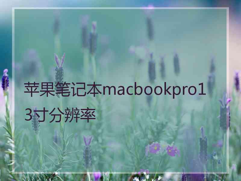 苹果笔记本macbookpro13寸分辨率