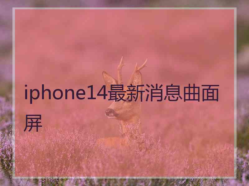 iphone14最新消息曲面屏