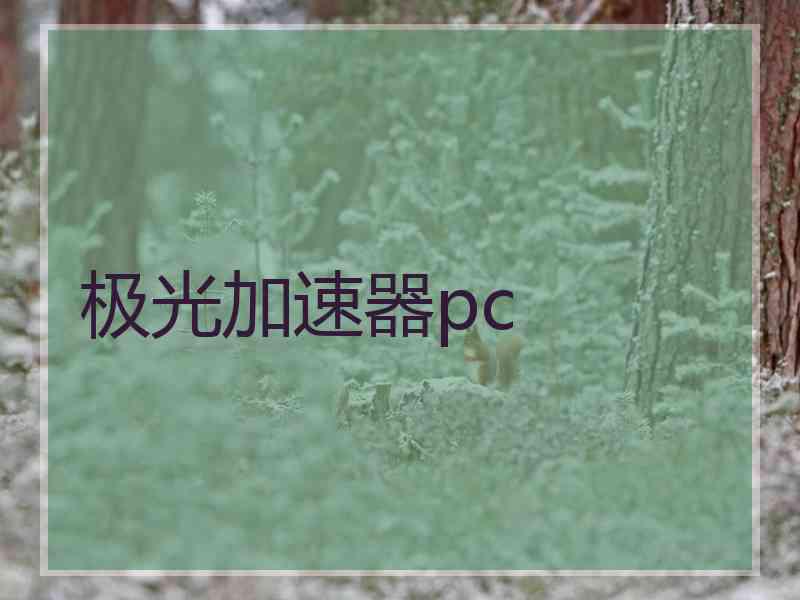 极光加速器pc