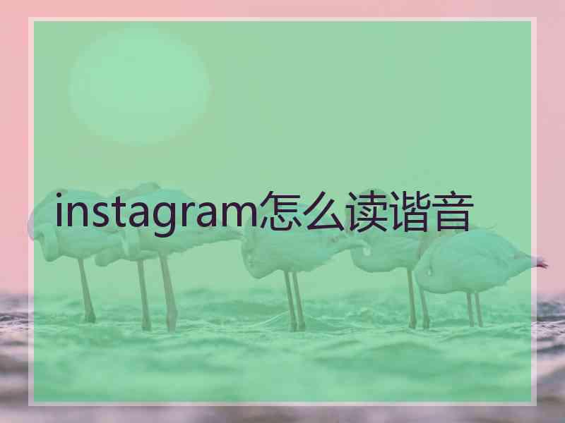 instagram怎么读谐音