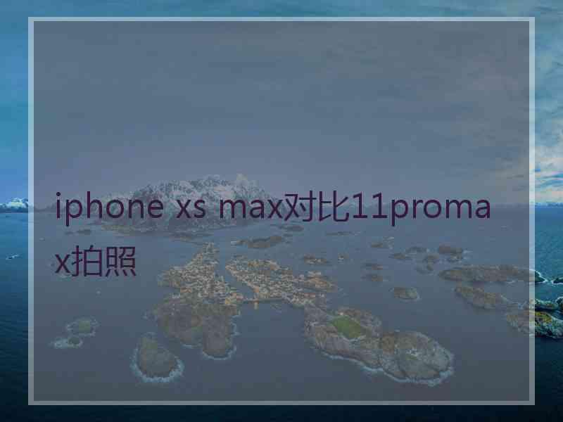 iphone xs max对比11promax拍照