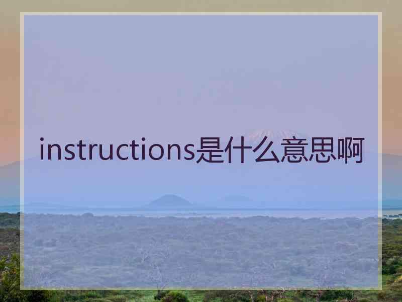 instructions是什么意思啊