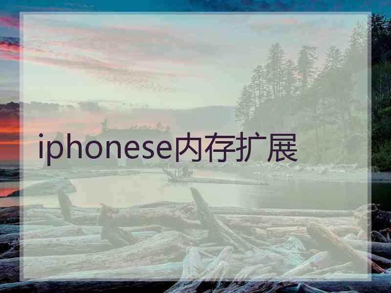 iphonese内存扩展