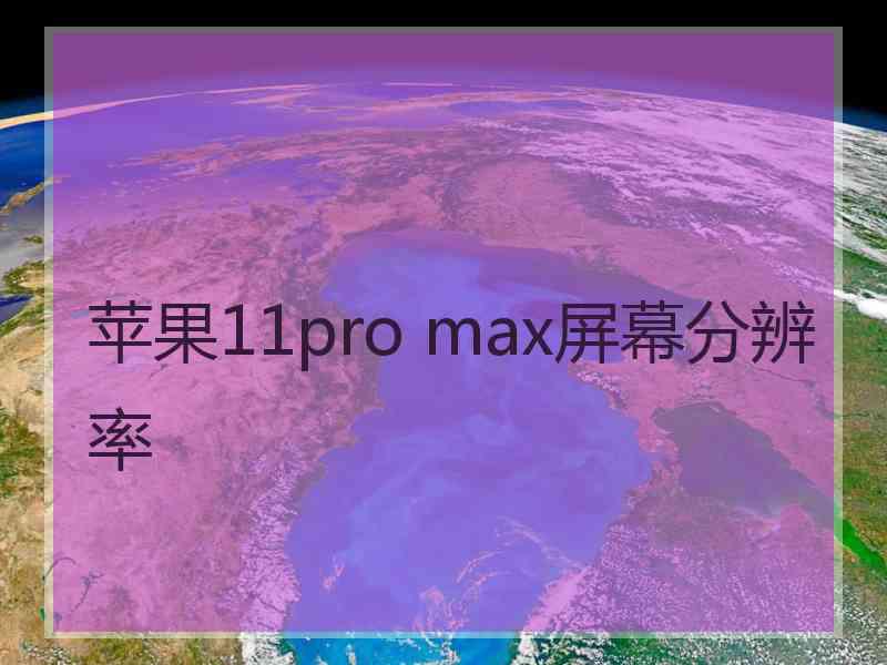 苹果11pro max屏幕分辨率