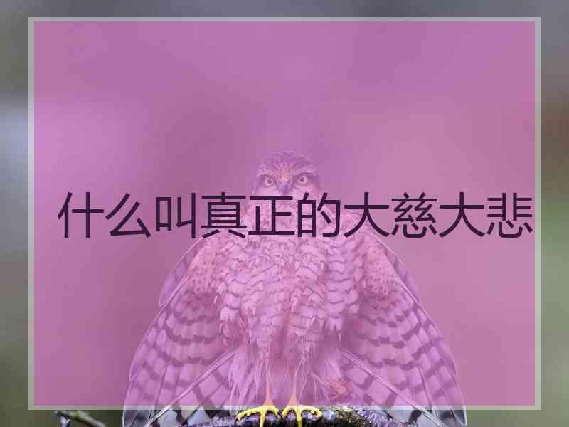 什么叫真正的大慈大悲