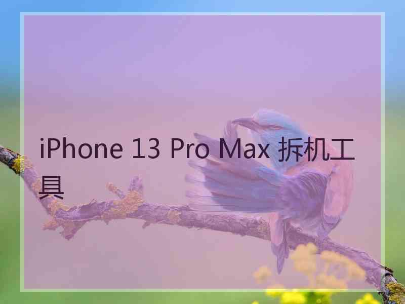 iPhone 13 Pro Max 拆机工具