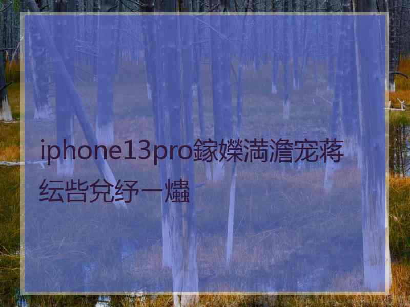 iphone13pro鎵嬫満澹宠蒋纭呰兌纾ㄧ爞