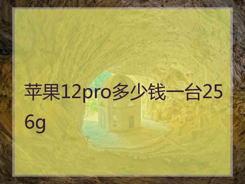 苹果12pro多少钱一台256g