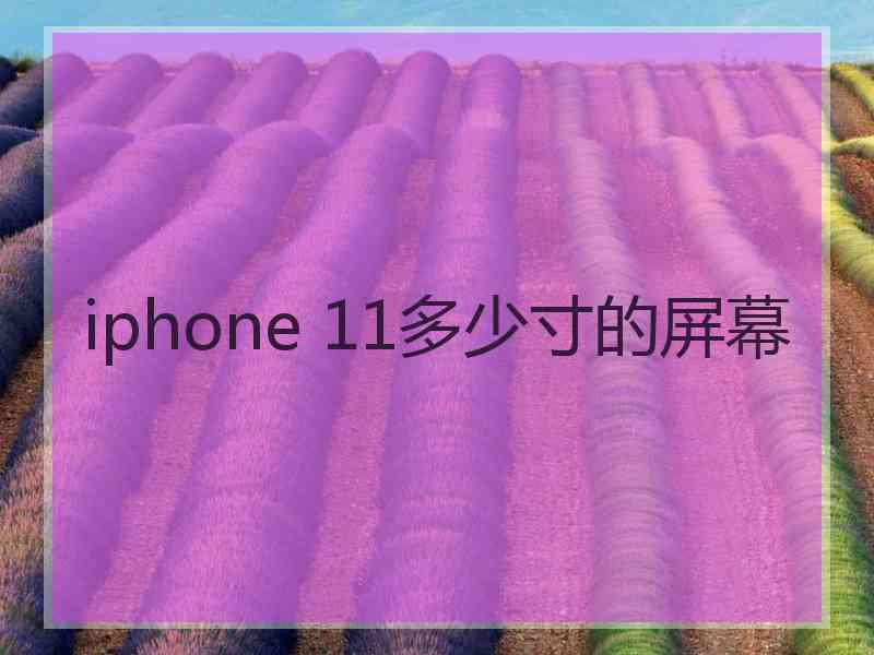 iphone 11多少寸的屏幕