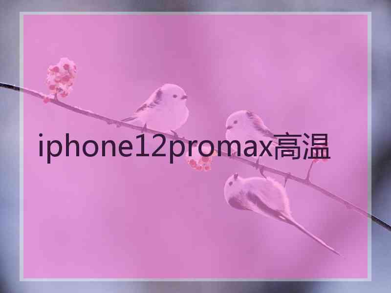 iphone12promax高温