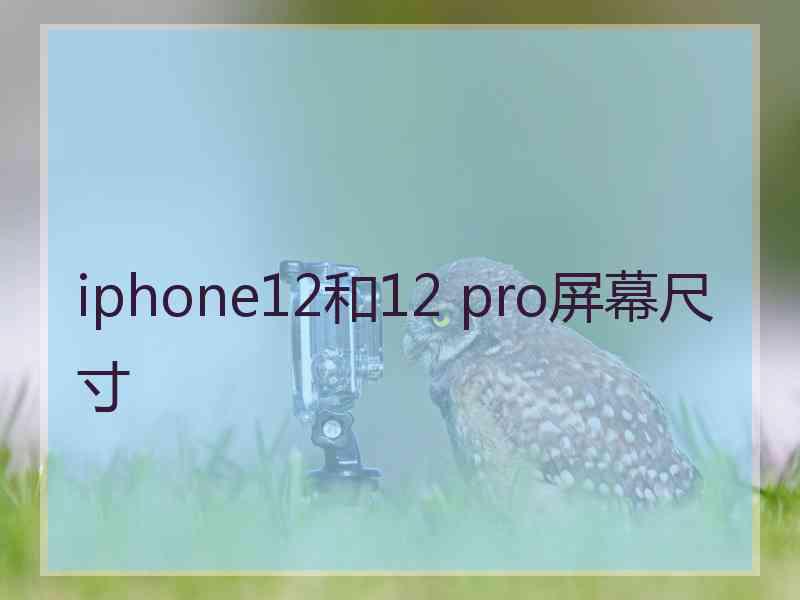 iphone12和12 pro屏幕尺寸